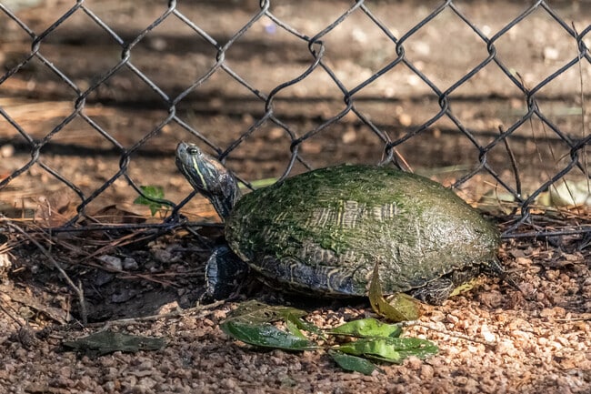 Harper's Landing Park even has wildlife that will smile for the camera.