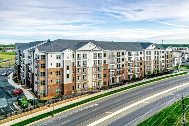 Overture Providence 55+ Active Adult Apartment Homes, Charlotte, NC 28277 - photo 6