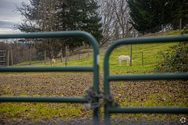 Atkinson has many farms and rural pastures for animals.