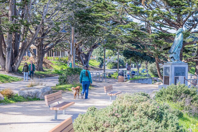 Stroll the serene shores of Monterey, a tranquil escape from the everyday.