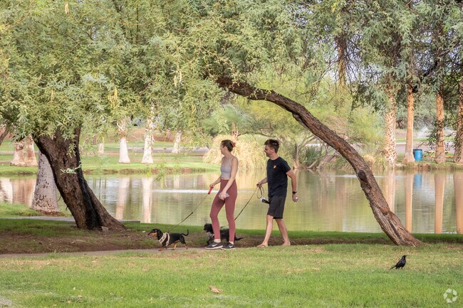 Scottsdale’s El Dorado Park & Community Center is a great place for summertime dog walks.