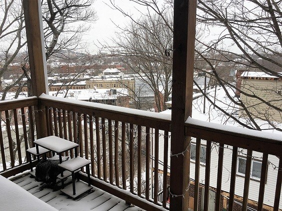 3 Parker Hill Terrace unit 1, Roxbury Crossing, MA 02120 - photo 6