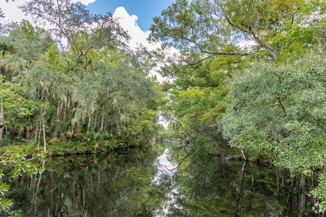 There is plenty of nature to see and explore close to Cypress Village at Sugarmill Woods.