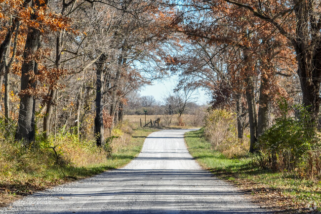 Country roads of Newton can be found lined with trees on gravel roads.