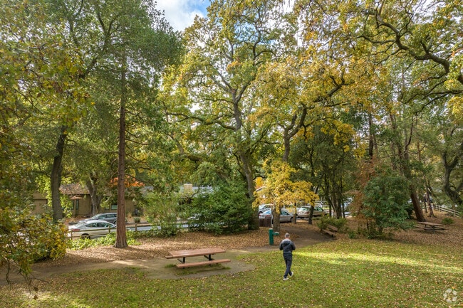 Leigh Creekside Park in Trails is the perfect place for a relaxing afternoon.