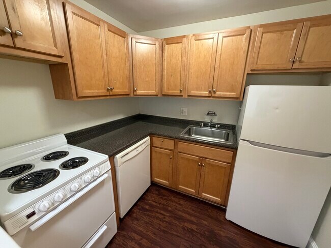 306 Tappan St unit 101, Brookline, MA 02445 - photo 5
