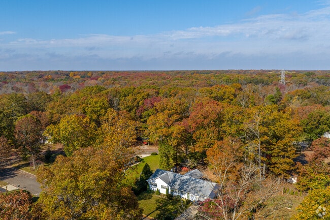 Newfield is surrounded by nature and towering trees, making it beautiful during autumn.