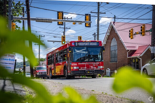 Bus stops can be found scattered throughout the main streets of Springdale.