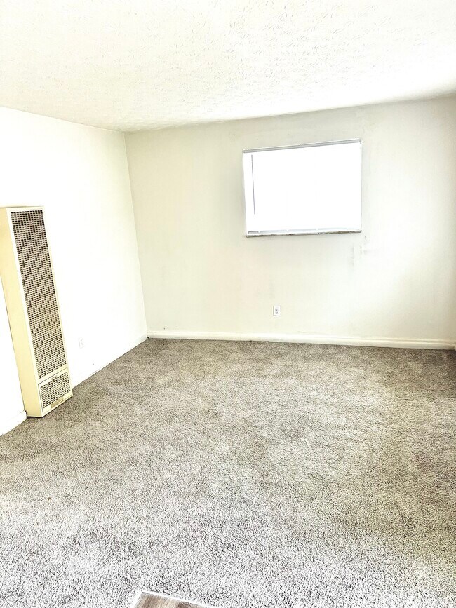 newly carpeted living room with large windows