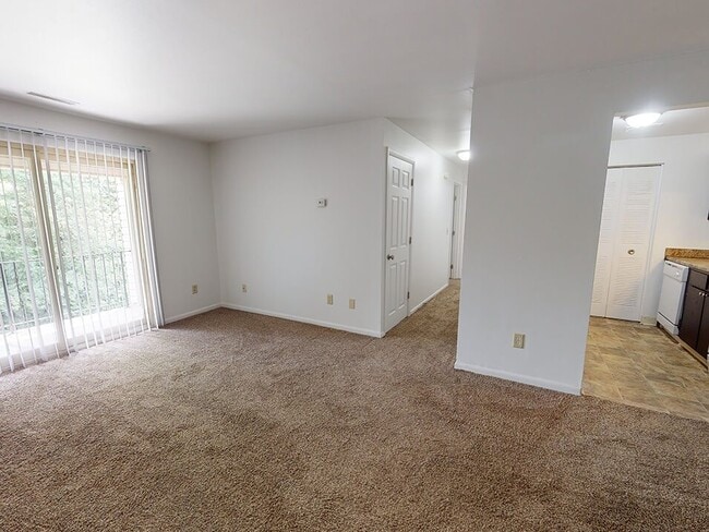 Carpeted Interiors