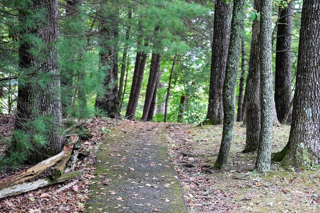 Picturesque sidewalks line every street in Norris so you never have to get in the car.
