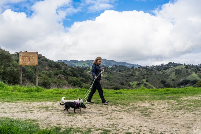 Hike the Lafayette Rim Trail in Campolindo for stunning views and a peaceful outdoor experience.
