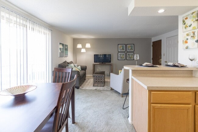 1 Bedroom 1 Bathroom Living Room at Ashmore Trace Apartment