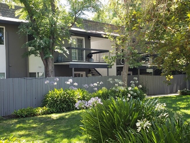 Sycamore Green Apartments, Concord, CA 94518 - photo 3