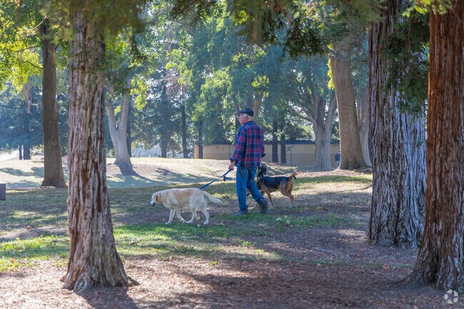 Centerville's tree cover makes for great shady summer walks.