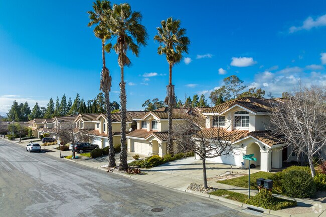 Large single-family homes are available in  Mission San Jose.