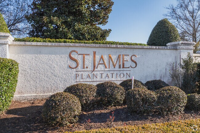 Saint James is a beautiful community with unique styles of homes and ample amenities for families.