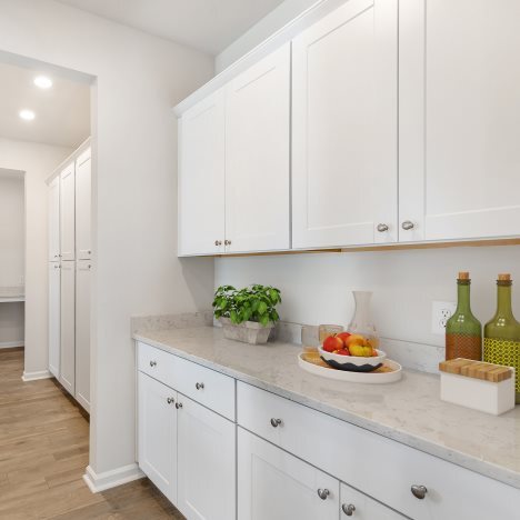 1008 Wild Roam Run Summerville Sc 29485 Run unit 36088788, Summerville, SC 29485 - photo 6