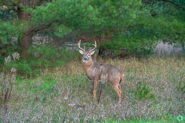 St. Croix County is recognized for their enormous trophy bucks in White Tailed Deer population.
