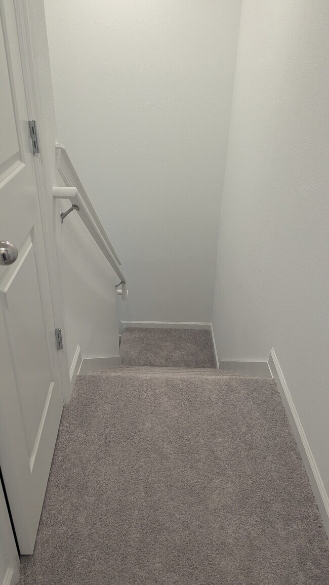 550 Holly Lakes Dr, Orange Park, FL 32073 - photo 5