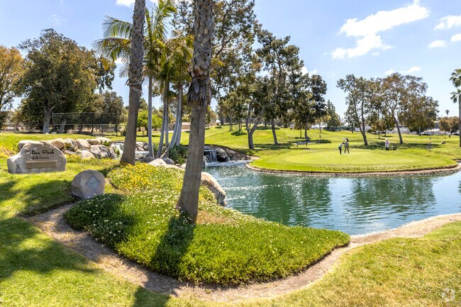 Palms trees at the pond near Chollas Creek at Colina Park Golf Course.