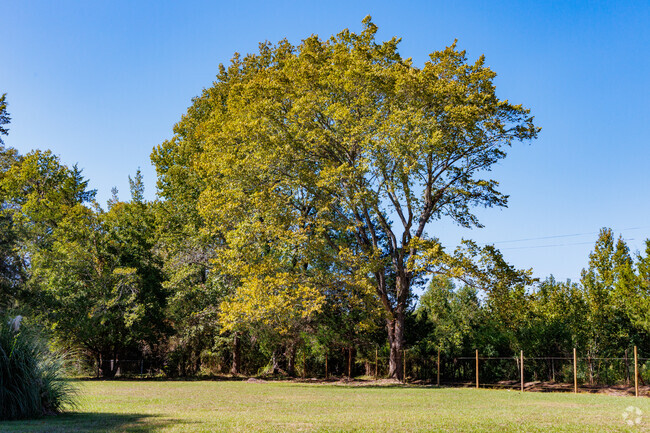 Frierson is a rural area, fields and woodland are all around.