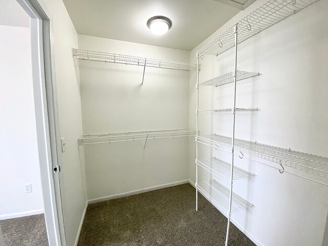 Large Walk-In Closets