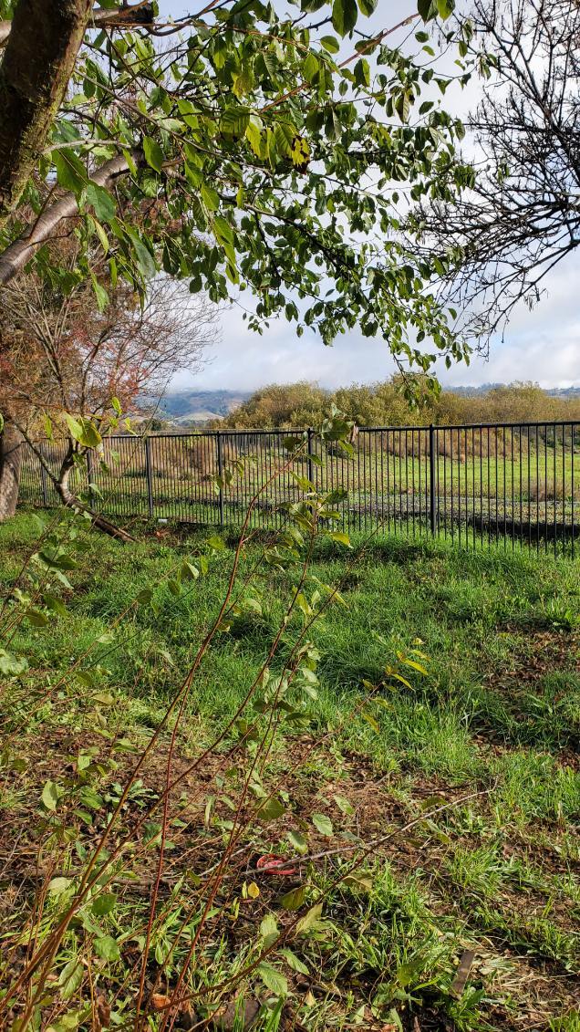 1460 Parkway Dr, Rohnert Park, CA 94928 - photo 6