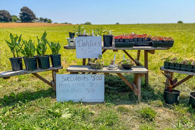 Some residents sell fresh produce and flowers from road-side stands in Hornig.