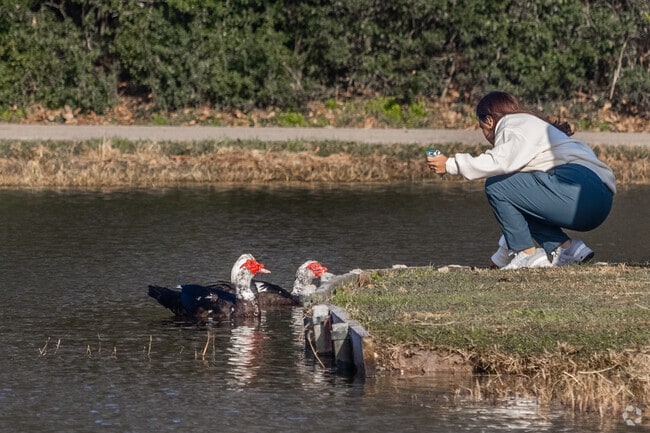 Those living near Spring Shadows will be delighted to feed ducks at the local pond.