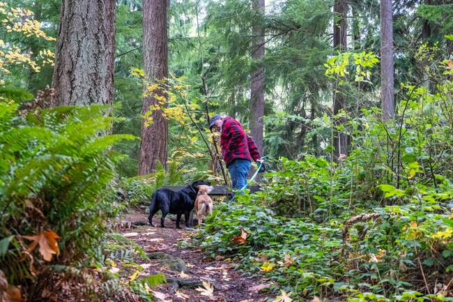 South Woods County Park in Perrinville - Seaview is a big attraction for dog lovers.