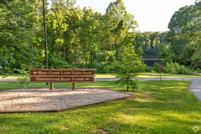 Catch the magic of golden hour at Cumberland State Forest.
