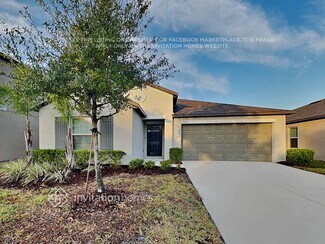 1533 Blue Rose Dr, Ruskin, FL 33570