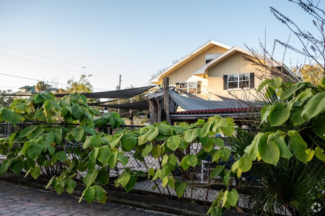 Casa Montessori is covered in natural growth, providing shade and privacy for their students.