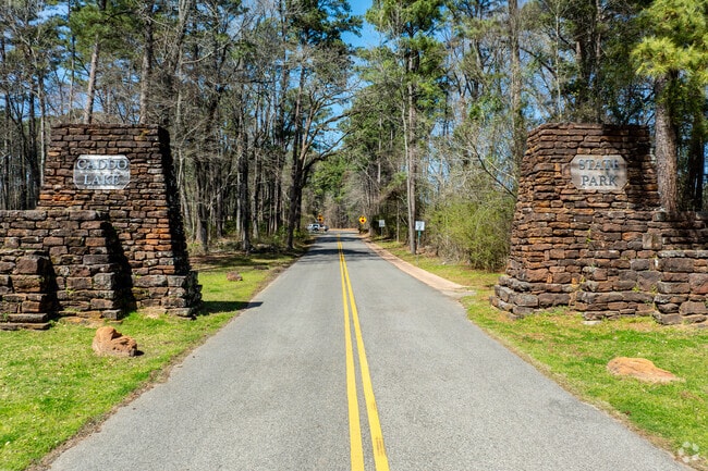 Experience the vastness of Caddo Lake State Park, just 30 minutes from Marshall, Texas, where over 8,000 acres of natural beauty await exploration.