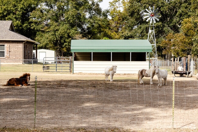 North Lafayette Parish includes farms that feature farm animals and ponies.