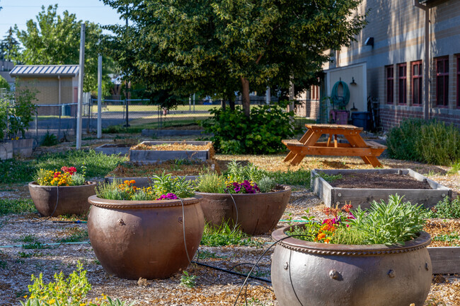 Students participate in tending to the community garden at Whitney Elementary in Vista.