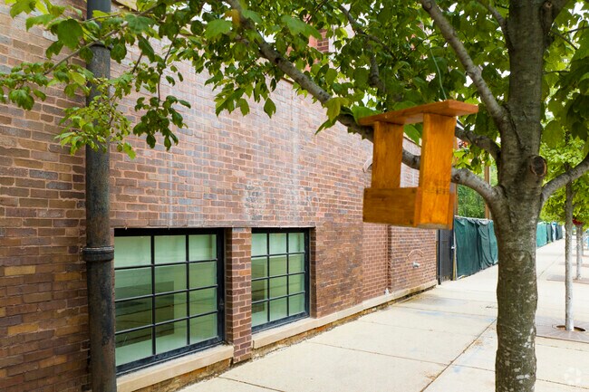 Bird boxes built by students can be seen outside the Bennet Day School.