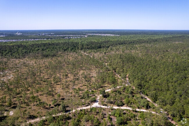 The Julington-Durbin Creek Reserve is about a 10-15 minute drive for most Creekside residents.