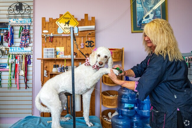 Bring your best friend in for a salon day at Tender Touch Grooming Salon
in Honey Manor.