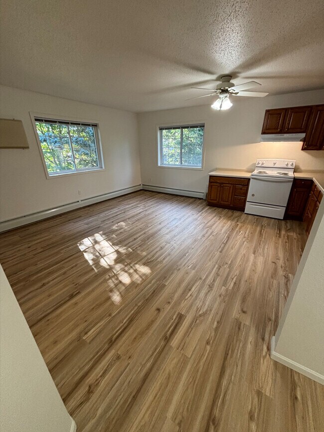 1115 Elizabeth St, Duluth, MN 55803