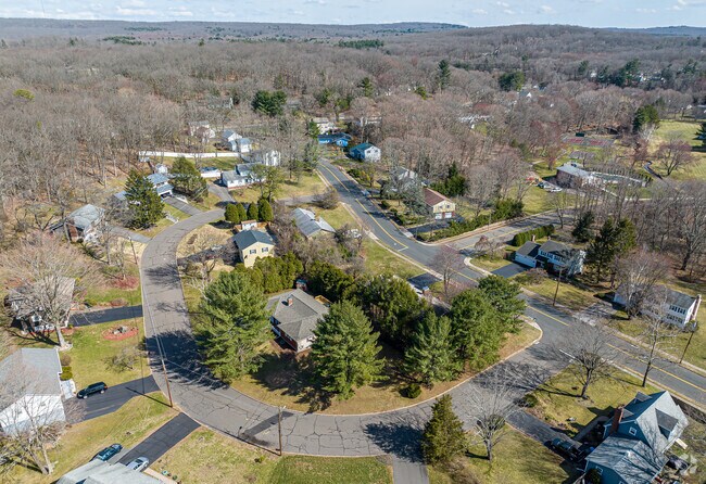 Several homes in Buckley District sit along tree-lined streets, over shaded lots for residents.