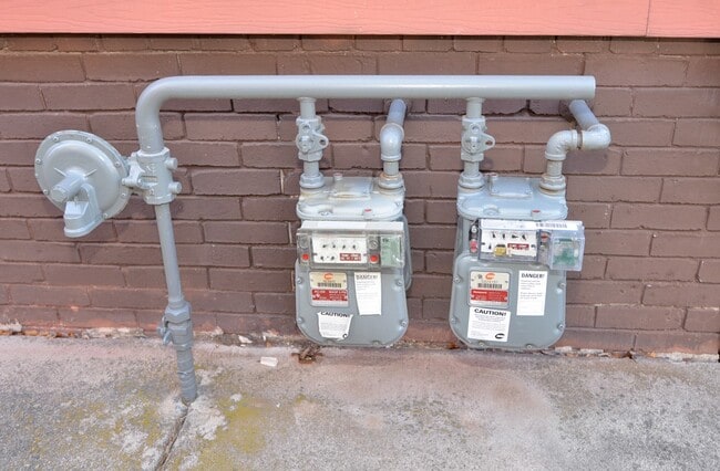 Gas Meters