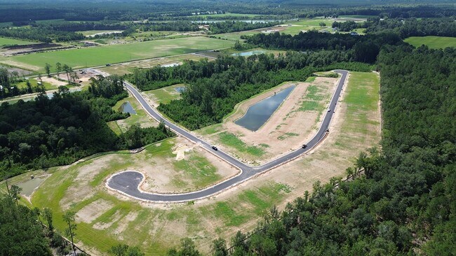 144 Cottage Red Ct, Conway, SC 29527 - photo 7