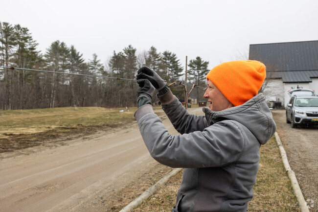 The grounds are expertly kept at No. 10 Eatery near Greene.