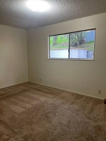 312 S Amador St, Ione, CA 95640 - photo 7