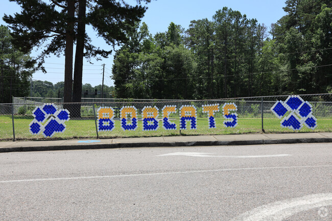 School Spirit at Blue Ridge Elementary in Augusta, GA.