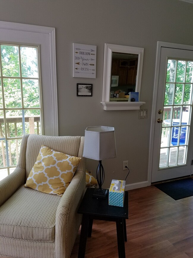 221 Long St unit Downstairs Bedroom, Boone, NC 28607 - photo 7