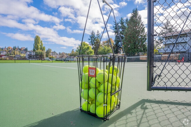 Play a round of tennis with a neighbor in Dash Point.