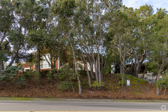 Educational opportunities abound at Trinity School in Menlo Park.